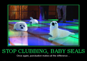 Photo of baby seals on a dance floor with caption that reads: 